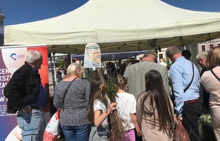 Zdjęcie wykonano na bocheńskim Rynku. Uczniowie CKZiU w Łapanowie rozdają sadzonki nowalijek podczas IV Powiatowego EKOPikniku. 