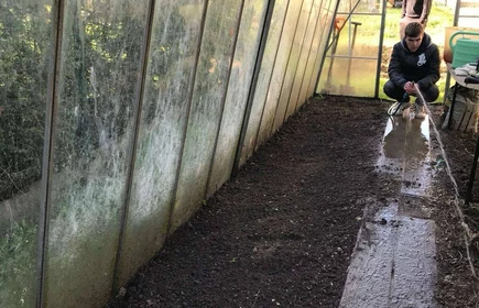 Na zdjęciu uczniowie kierunku technik rolnik w czasie wykonywania prac w szklarni. 