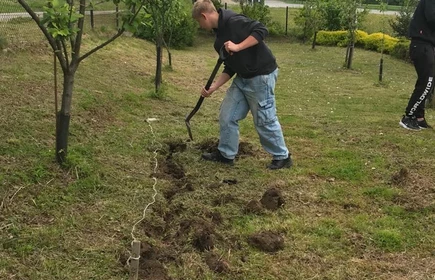 Na zdjęciu uczniowie CKZiU w Łapanowie w czasie przygotowywania poletka do wysiewu ziół i kwiatów. Fotografia wykonana w szkolnym ogrodzie.