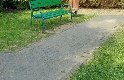 Fragment placu zabaw po jego uporządkowaniu przez młodzież. 