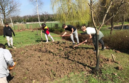 Na zdjęciu młodzież CKZiU w Łapanowie zakładająca łąki kwiatowe w szkolnym ogrodzie.