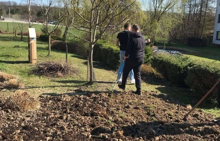 Na zdjęciu uczniowie kierunku technik rolnik wykonują prace polowe - przygotowanie poletek demonstracyjnych.