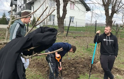 Na zdjęciu uczniowie kierunku technik rolnik wykonują prace polowe - przygotowanie poletek demonstracyjnych.