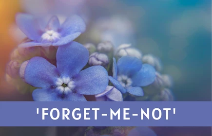 Grafika promująca Ogólnopolski Konkurs Języka Angielskiego &#39;FORGET-ME-NOT&#39;.