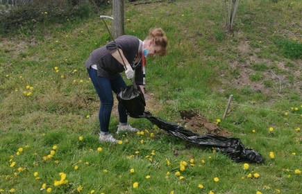 Zakończenie II EDYCJI PROJEKTU – TRADYCYJNEGO SADU GRUSZOWEGO i rozpoczęcie III …….. TYM RAZEM ŚLIWOWEGO 9