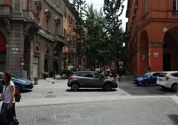 samoachody zaparkowane przy ulicy