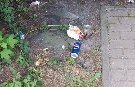 Fragment placu zabaw przed jego uporządkowaniem przez młodzież. 