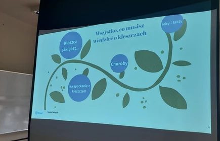 Zdjęcie przedstawia jeden ze slajdów prezentacji nt. boreliozy.