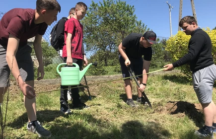 Na zdjęciu uczniowie kierunku technik rolnik sadzą drzewa wiśni w ramach realizacji projektu Tradycyjny Sad.