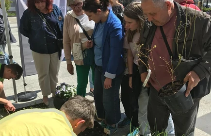 Zdjęcie wykonano na bocheńskim Rynku. Uczniowie CKZiU w Łapanowie rozdają sadzonki nowalijek podczas IV Powiatowego EKOPikniku. 