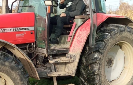 Uczniowie kierunku technik rolnik podczas zajęć praktycznych - zbiór kukurydzy.
