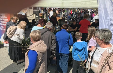 Zdjęcie wykonano na bocheńskim Rynku. Uczniowie CKZiU w Łapanowie rozdają sadzonki nowalijek podczas IV Powiatowego EKOPikniku. 