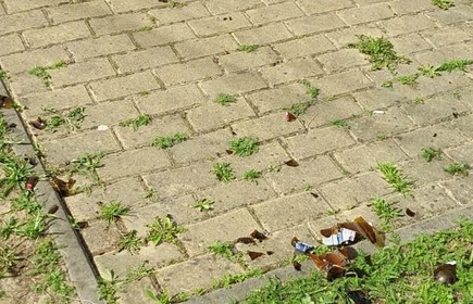 Fragment placu zabaw przed jego uporządkowaniem przez młodzież. 