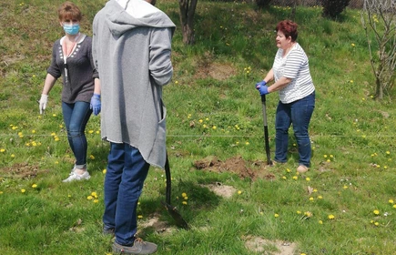 Zakończenie II EDYCJI PROJEKTU – TRADYCYJNEGO SADU GRUSZOWEGO i rozpoczęcie III …….. TYM RAZEM ŚLIWOWEGO 11