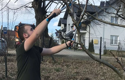 Na zdjęciu uczniowie kierunku technik rolnik wykonują prace w sadzie (przycinanie drzew).