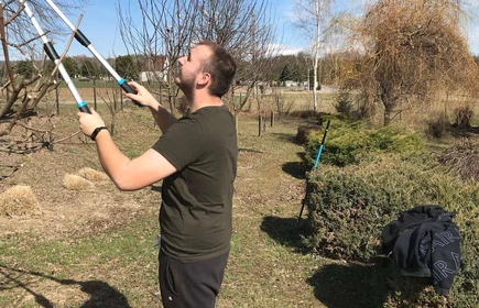 Na zdjęciu uczniowie kierunku technik rolnik wykonują prace w sadzie (przycinanie drzew).