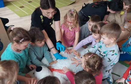 Na zdjęciu uczennice Justyna Kącka i Wiktoria Klasło ćwiczą z przedszkolakami udzielanie pierwszej pomocy przedmedycznej. Zdjęcie wykonane w Publicznym Przedszkolu w Łapanowie.