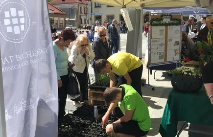 Zdjęcie wykonano na bocheńskim Rynku. Uczniowie CKZiU w Łapanowie rozdają sadzonki nowalijek podczas IV Powiatowego EKOPikniku. 