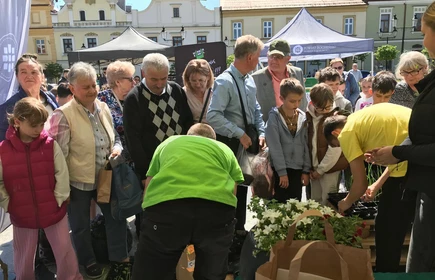 Zdjęcie wykonano na bocheńskim Rynku. Uczniowie CKZiU w Łapanowie rozdają sadzonki nowalijek podczas IV Powiatowego EKOPikniku. 