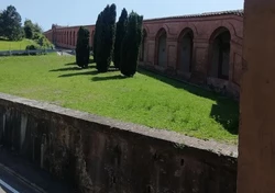 kamienny mur z trawnikiem i murowanym budynkiem